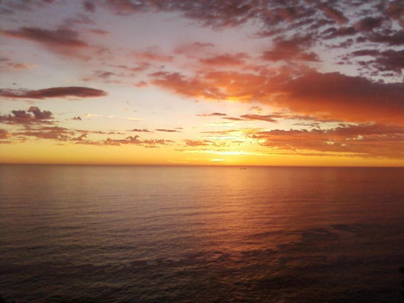 Marie'S Garden Room Self Catering Accommodation Cidade Do Cabo Exterior foto